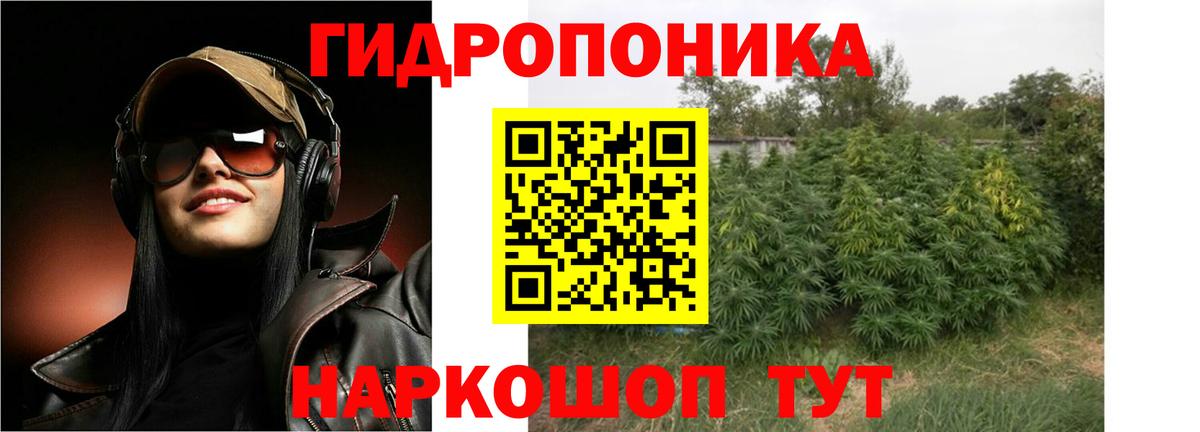 Марихуана гибрид Новокубанск